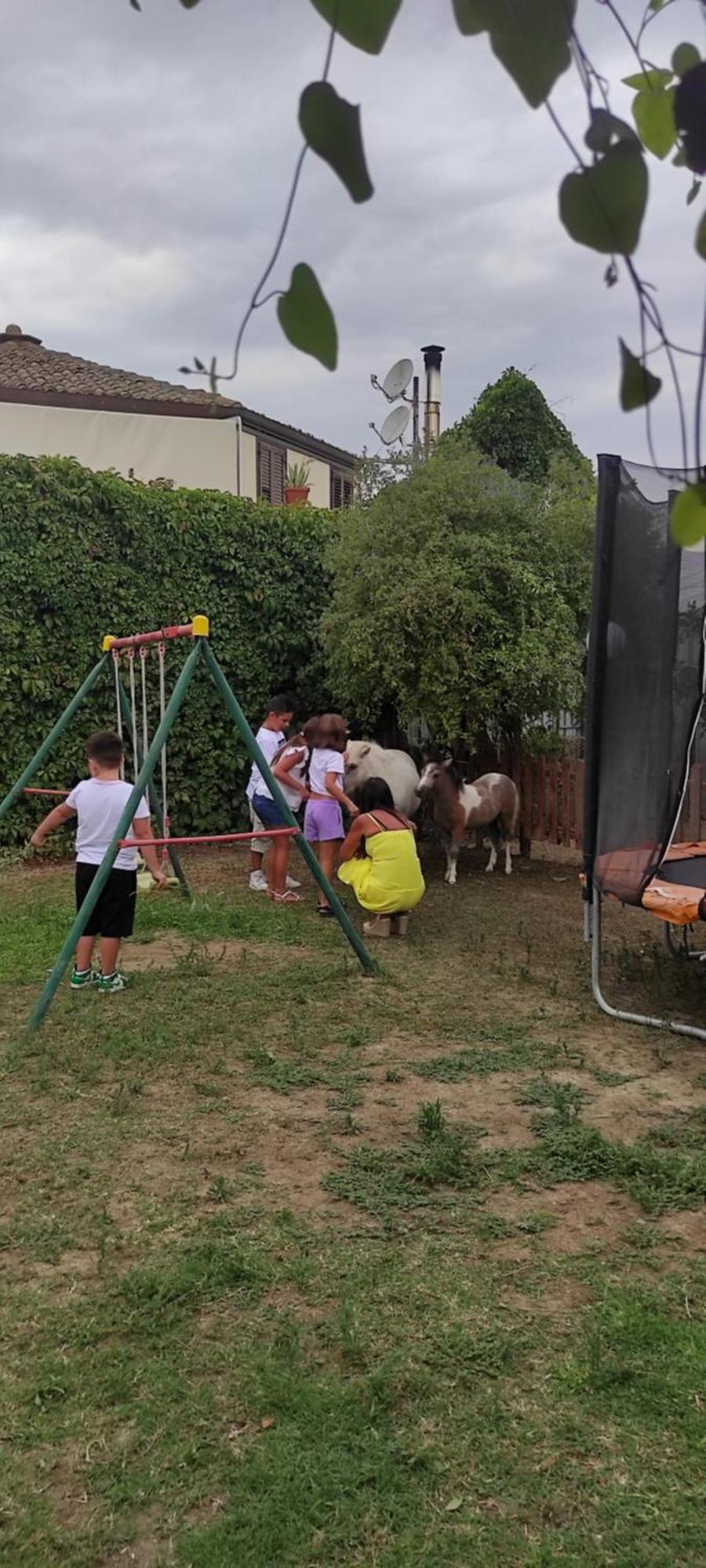 Oasi Del Lago Regalbuto Dış mekan fotoğraf