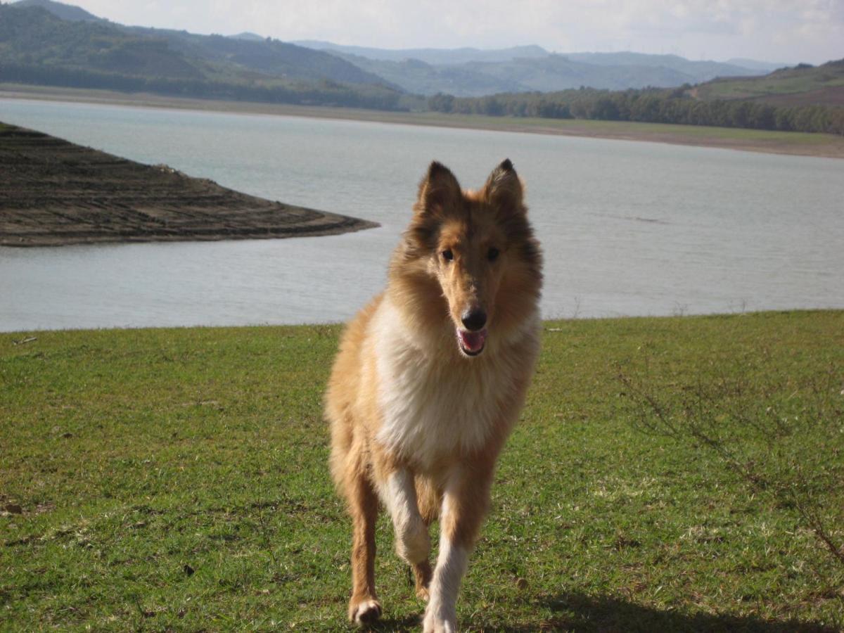 Oasi Del Lago Regalbuto Dış mekan fotoğraf
